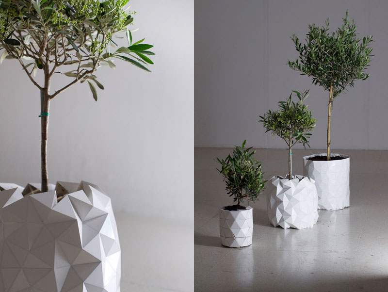 flower pot grows as plant does growth by studio ayaskan (5)