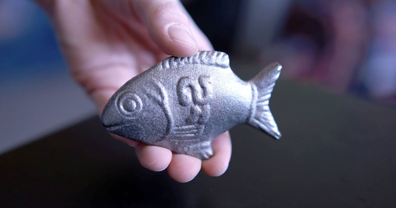 The Lucky Iron Fish: A Simple Solution to a Serious Problem