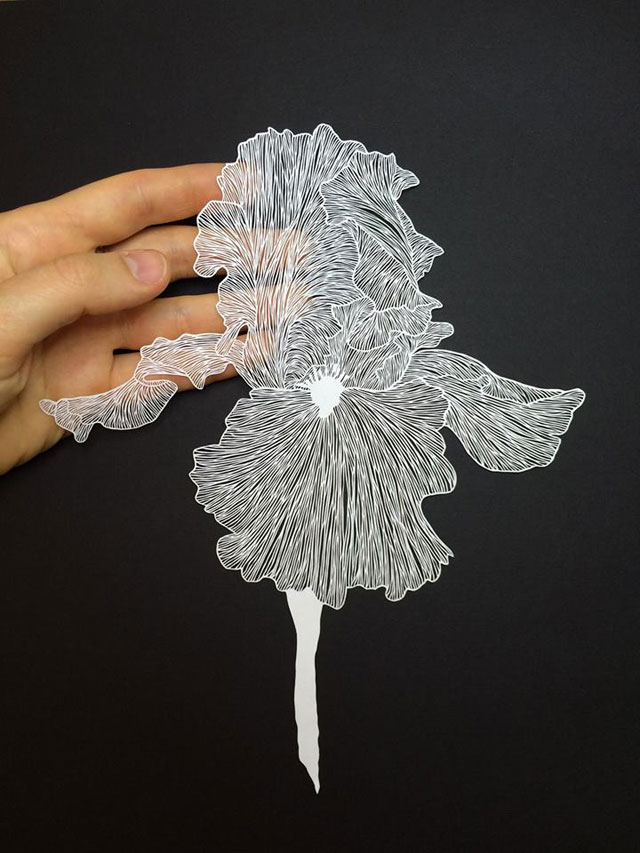 Paper Plants and Animals Cut By Hand with a Surgical Knife » TwistedSifter