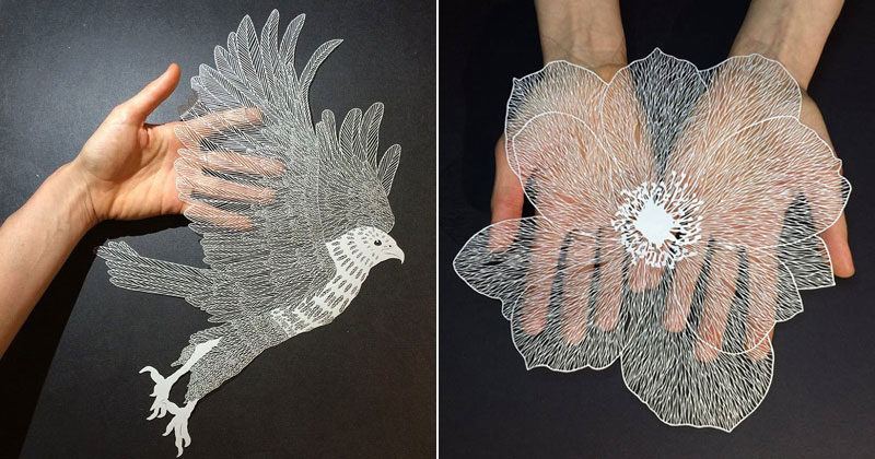 Paper Plants and Animals Cut By Hand with a Surgical Knife