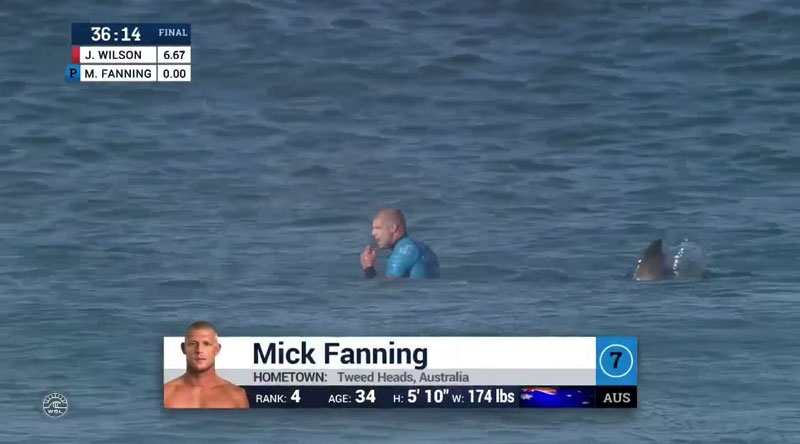 Shark Attacks Mick Fanning at J-Bay Open Finals » TwistedSifter