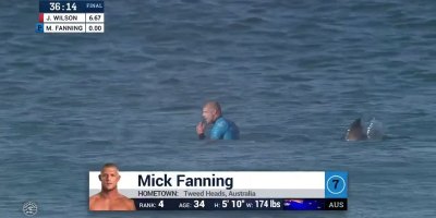 Shark Attacks Mick Fanning at J-Bay Open Finals