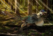 125 Million-Year-Old Dinosaur with Wings Found Perfectly Preserved, is Ancestor to the Velociraptor