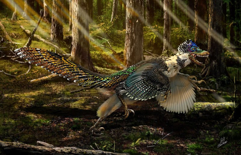 125 Million-Year-Old Dinosaur with Wings Found Perfectly Preserved, is ...