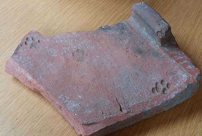 2000 Year Old Paw Print Shows Cats Have Never Cared