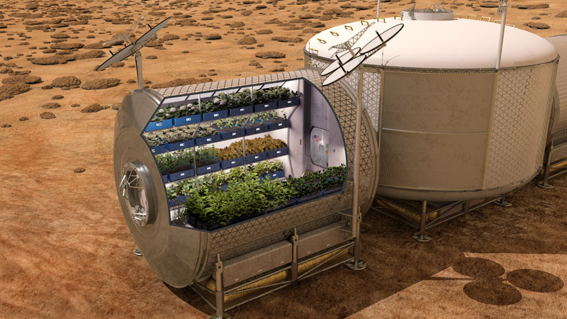 astronauts on iss eat veggies grown in space (3)