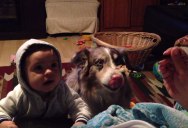 Mom Offers Son a Treat If He Can Say ‘Mama’, Hungry Dog Says It Instead