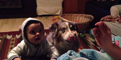 Mom Offers Son a Treat If He Can Say 'Mama', Hungry Dog Says It Instead