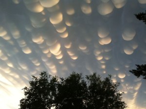 mammatus clouds 1 mammatus clouds (1)