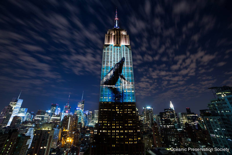 Artists Project Endangered Species on the Iconic Empire State Building