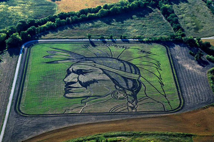 land crop art by stan herd (6)