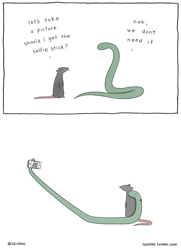 lobster is the best medicine by liz climo (9)