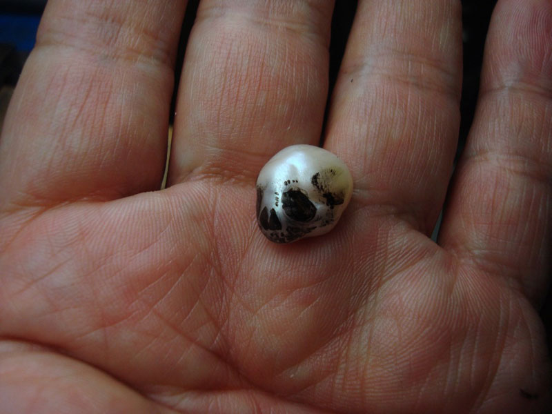 pearl skulls by shinki nakaba (15)