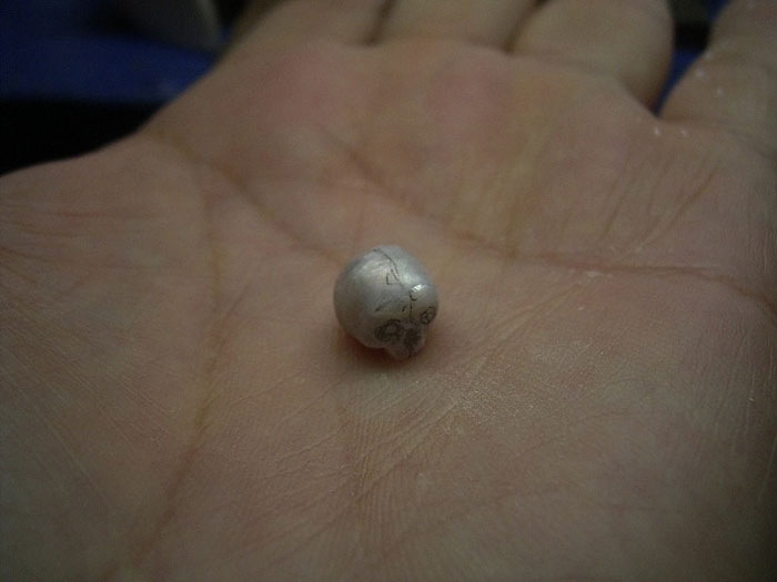 pearl skulls by shinki nakaba (21)