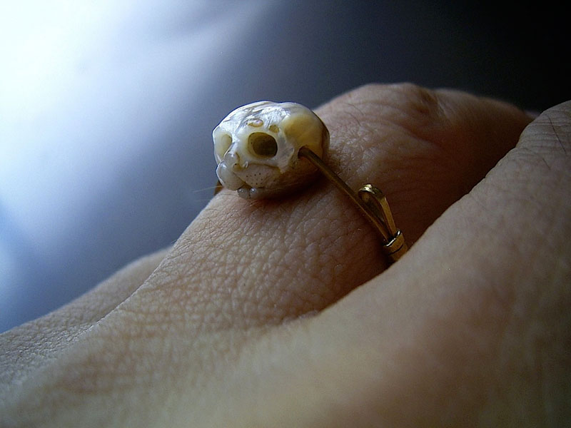 pearl skulls by shinki nakaba (7)