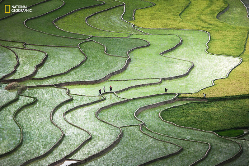 Terrace paddies in North Vietnam