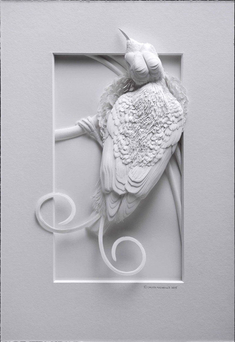 3d paper animal sculptures by calvin nicholls (12)