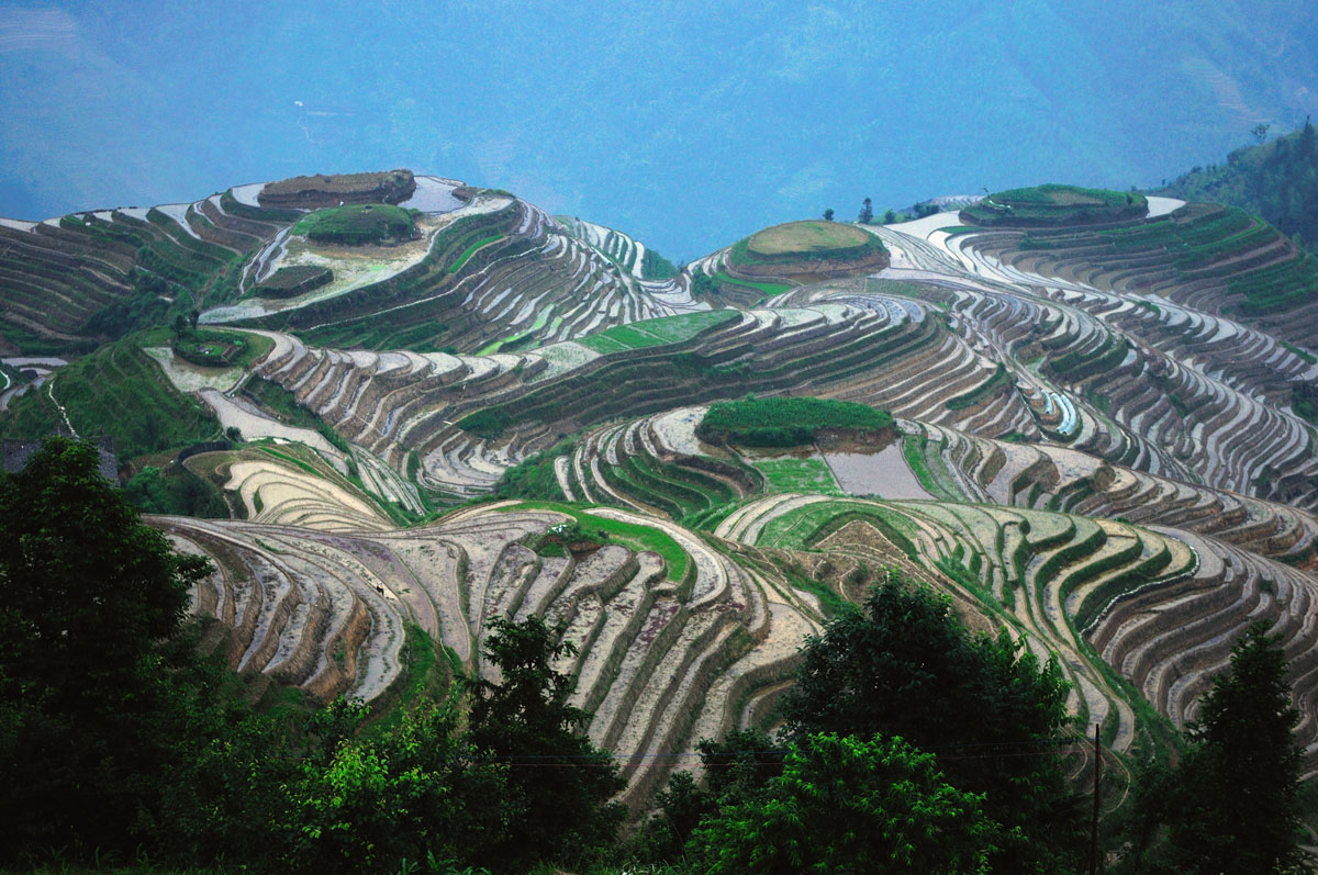 Picture of the Day: The Longsheng Rice Terraces of China » TwistedSifter