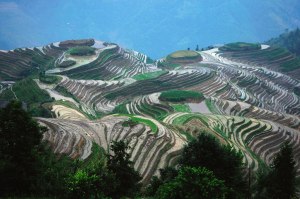 longsheng rice terraces guilin china longsheng rice terraces guilin china