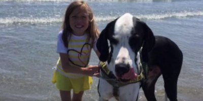 The Touching Story of Bella and Her Great Dane George