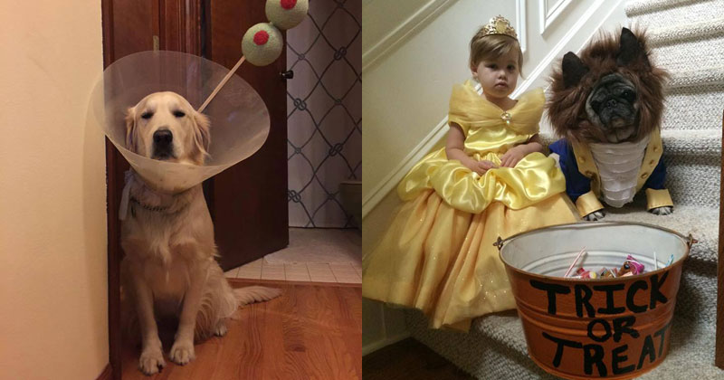 15 Awesome Halloween Costumes from this Past Weekend