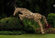 Picture of the Day: Leaping Driftwood
