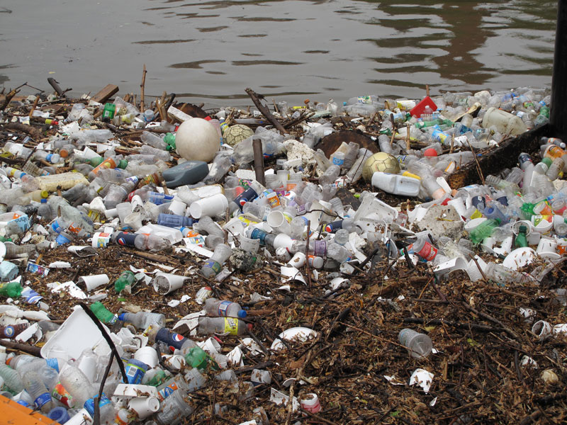 Meet Mr Trash Wheel, the Hero Cleaning Up Baltimore’s Harbor