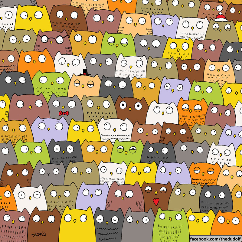 can you spot the cat in this owl pic by dudolf