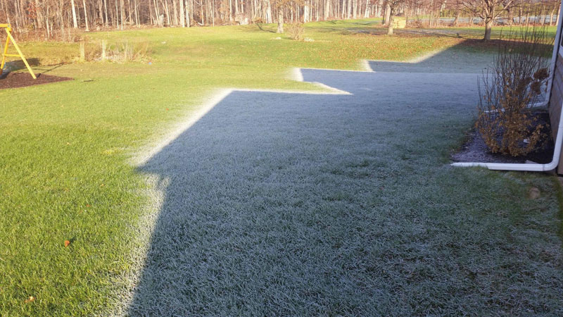 morning frost shadow Picture of the Day: Morning Frost Shadow
