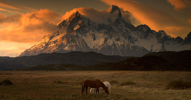 Picture of the Day: Patagonia Dreaming