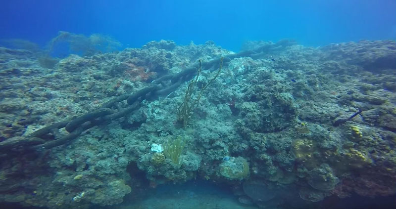 scuba divers capture shocking reef damage casued by anchored cruise ship