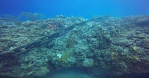 scuba divers capture shocking reef devastation caused by anchored cruise ship 1 scuba divers capture shocking reef damage casued by anchored cruise ship