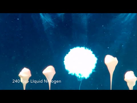 Slow Motion Underwater Explosions with Dry Ice and Liquid Nitrogen
