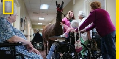 This Nursing Home Uses Unusual Animals to Engage Residents