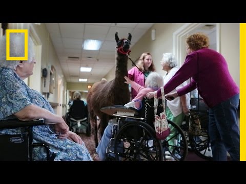 This Nursing Home Uses Unusual Animals to Engage Residents