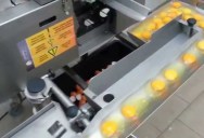 What Industrial Egg Breakers and Separators Look Like