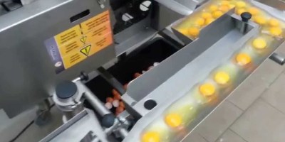 What Industrial Egg Breakers and Separators Look Like