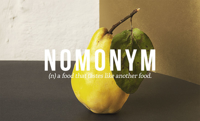 17 Words the English Language Needs to Add to its Lexicon (14)