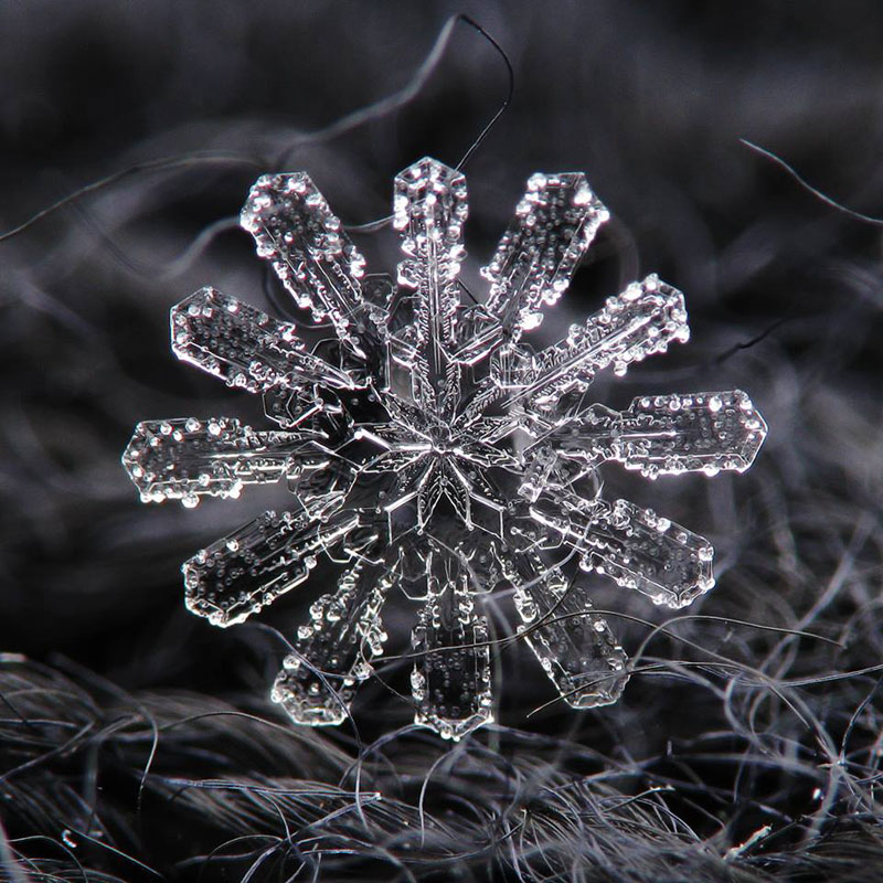 Close-Ups of Individual Snowflakes from this Winter by chaoticmind75 (2)