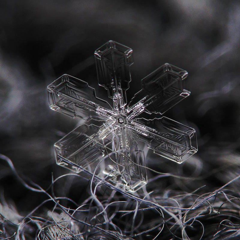 Close-Ups of Individual Snowflakes from this Winter by chaoticmind75 (5)