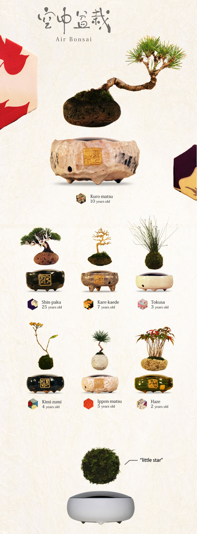 floating air bonsai by hoshinchu on kickstarter (2)