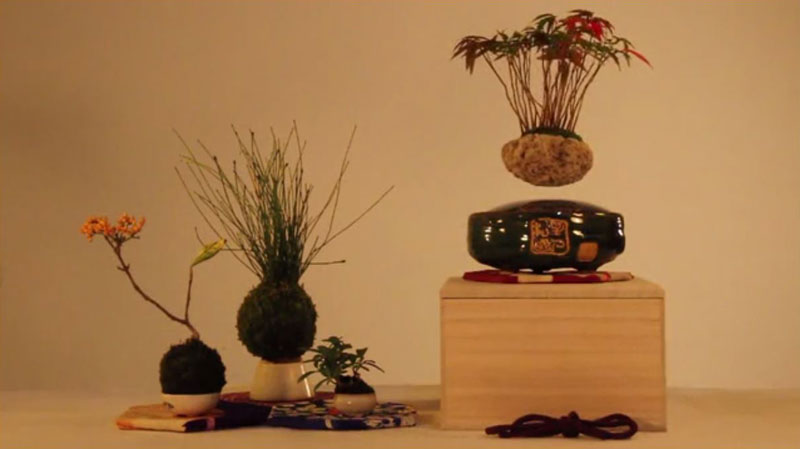 floating air bonsai by hoshinchu on kickstarter (6)