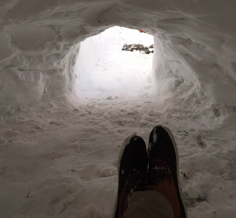 Guy Builds Igloo in Brooklyn and Lists on Airbnb for $200 a Night ...