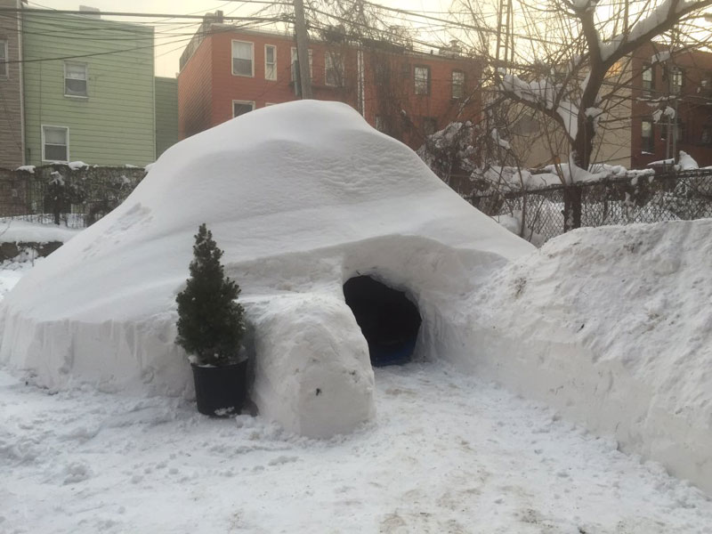 guy builds igloo lists on airbnb for 200 brooklyn new york (2)