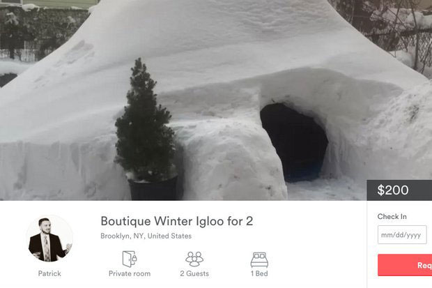 guy builds igloo lists on airbnb for 200 brooklyn new york (3)