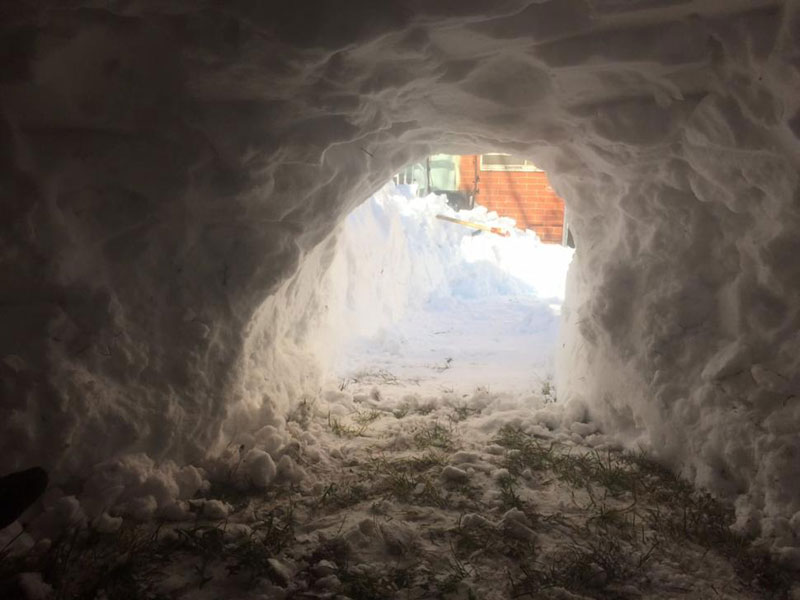 guy builds igloo lists on airbnb for 200 brooklyn new york (4)