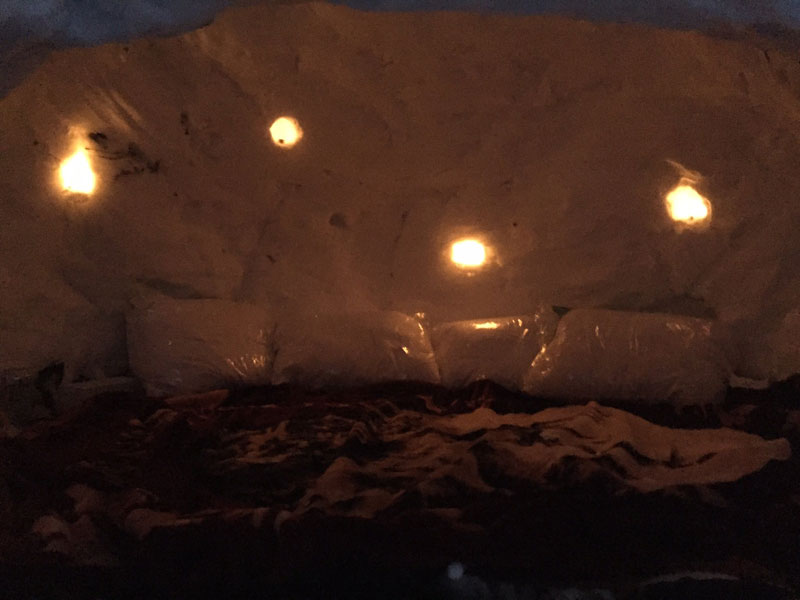 guy builds igloo lists on airbnb for 200 brooklyn new york (6)