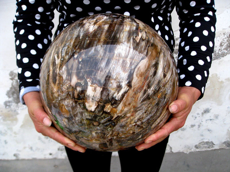 polished sphere of petrified wood Picture of the Day: Polished Sphere of Petrified Wood