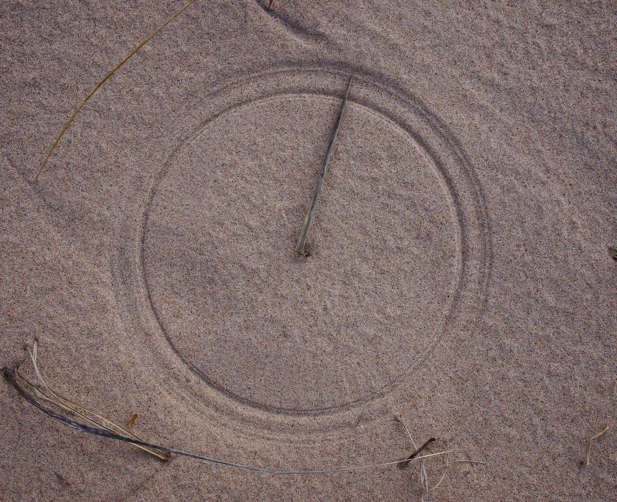 scratch circles windblown grass makes perfect circles in sand epod Picture of the Day: Windswept Grass Makes Perfect Circle in Sand