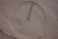 Picture of the Day: Windswept Grass Makes Perfect Circle in Sand